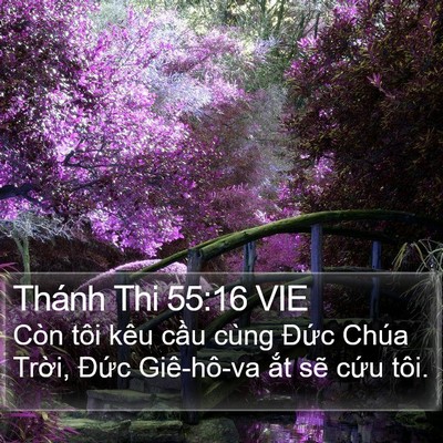 Thánh Thi 55:16 VIE Bible Verse Image