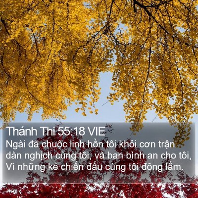 Thánh Thi 55:18 VIE Bible Verse Image