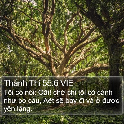Thánh Thi 55:6 VIE Bible Verse Image
