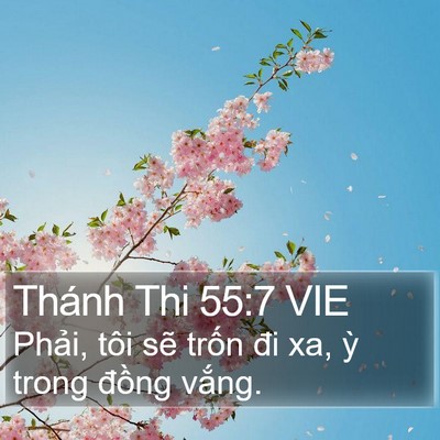 Thánh Thi 55:7 VIE Bible Verse Image