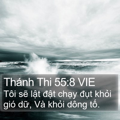 Thánh Thi 55:8 VIE Bible Verse Image