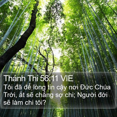 Thánh Thi 56:11 VIE Bible Verse Image