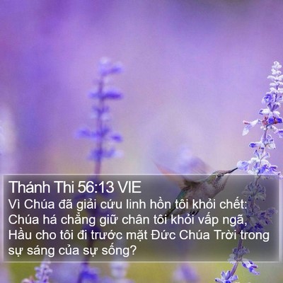 Thánh Thi 56:13 VIE Bible Verse Image