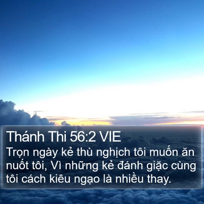 Thánh Thi 56:2 VIE Bible Verse Image