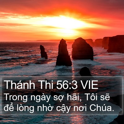 Thánh Thi 56:3 VIE Bible Verse Image