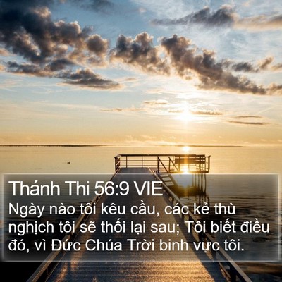 Thánh Thi 56:9 VIE Bible Verse Image