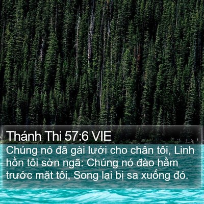 Thánh Thi 57:6 VIE Bible Verse Image