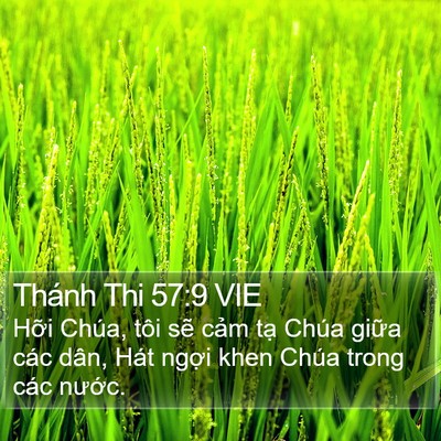 Thánh Thi 57:9 VIE Bible Verse Image