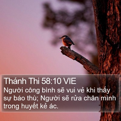Thánh Thi 58:10 VIE Bible Verse Image