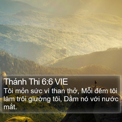 Thánh Thi 6:6 VIE Bible Verse Image