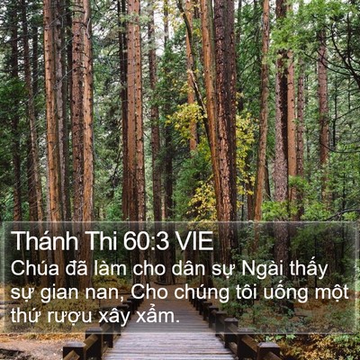 Thánh Thi 60:3 VIE Bible Verse Image