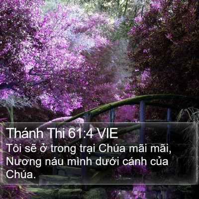Thánh Thi 61:4 VIE Bible Verse Image