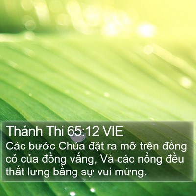 Thánh Thi 65:12 VIE Bible Verse Image