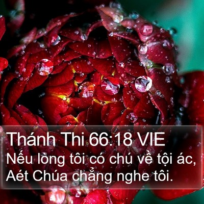Thánh Thi 66:18 VIE Bible Verse Image