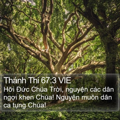 Thánh Thi 67:3 VIE Bible Verse Image
