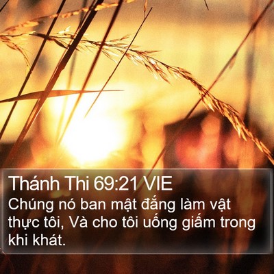 Thánh Thi 69:21 VIE Bible Verse Image