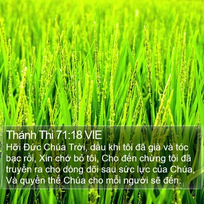 Thánh Thi 71:18 VIE Bible Verse Image
