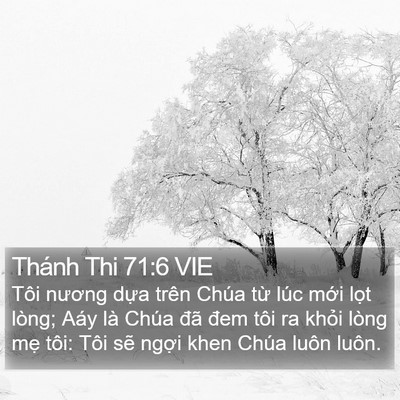 Thánh Thi 71:6 VIE Bible Verse Image