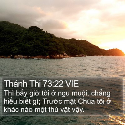 Thánh Thi 73:22 VIE Bible Verse Image