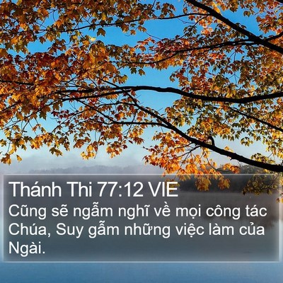 Thánh Thi 77:12 VIE Bible Verse Image