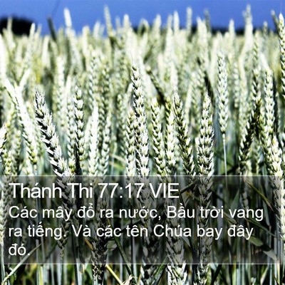 Thánh Thi 77:17 VIE Bible Verse Image