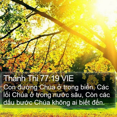 Thánh Thi 77:19 VIE Bible Verse Image