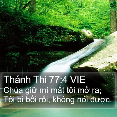 Thánh Thi 77:4 VIE Bible Verse Image