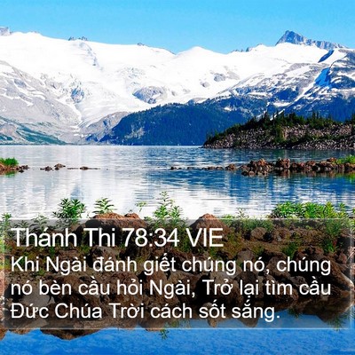 Thánh Thi 78:34 VIE Bible Verse Image