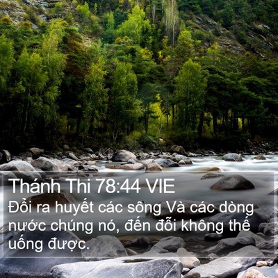 Thánh Thi 78:44 VIE Bible Verse Image