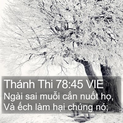 Thánh Thi 78:45 VIE Bible Verse Image