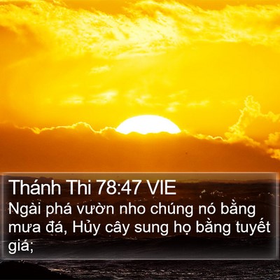Thánh Thi 78:47 VIE Bible Verse Image
