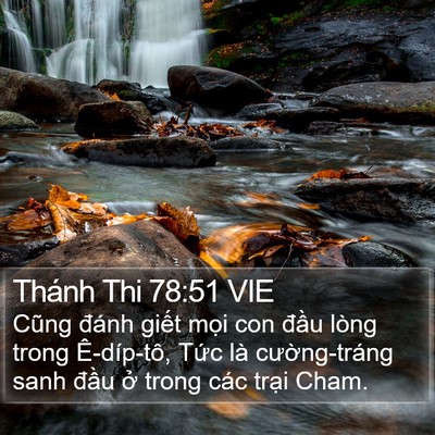 Thánh Thi 78:51 VIE Bible Verse Image