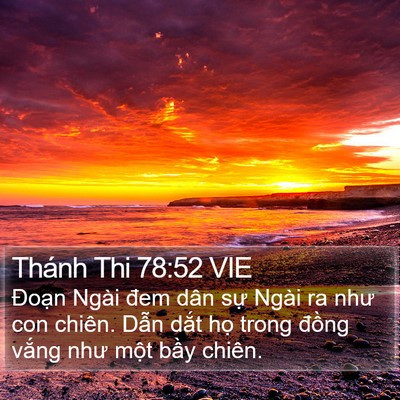 Thánh Thi 78:52 VIE Bible Verse Image