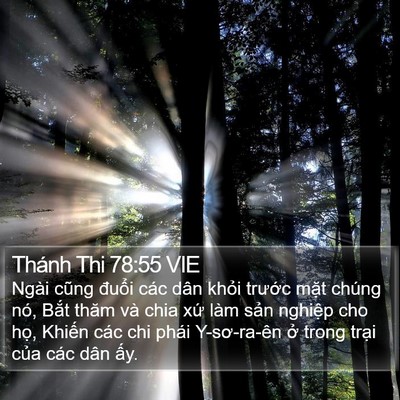 Thánh Thi 78:55 VIE Bible Verse Image