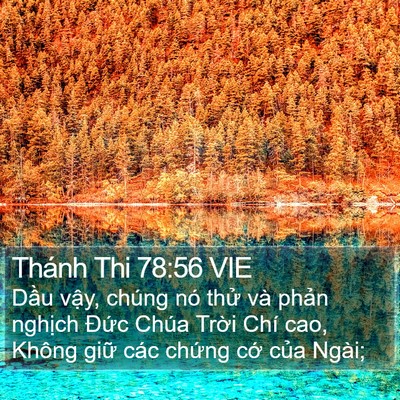 Thánh Thi 78:56 VIE Bible Verse Image