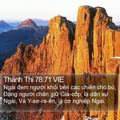 Thánh Thi 78:71 VIE Bible Verse Image