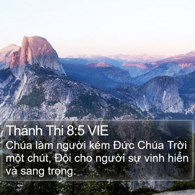 Thánh Thi 8:5 VIE Bible Verse Image