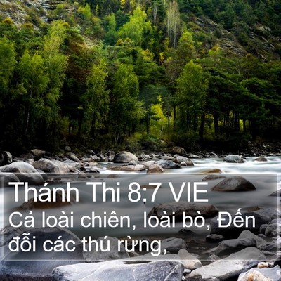 Thánh Thi 8:7 VIE Bible Verse Image