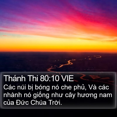 Thánh Thi 80:10 VIE Bible Verse Image