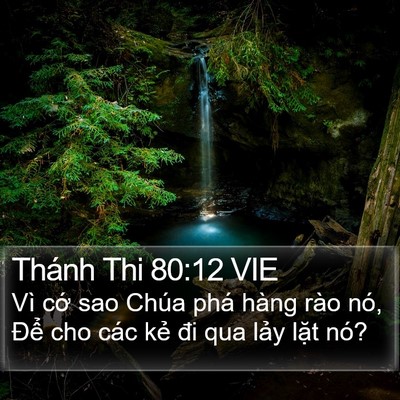 Thánh Thi 80:12 VIE Bible Verse Image