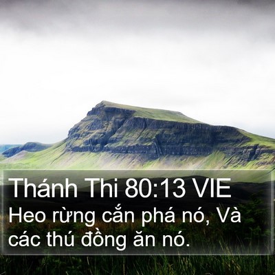 Thánh Thi 80:13 VIE Bible Verse Image