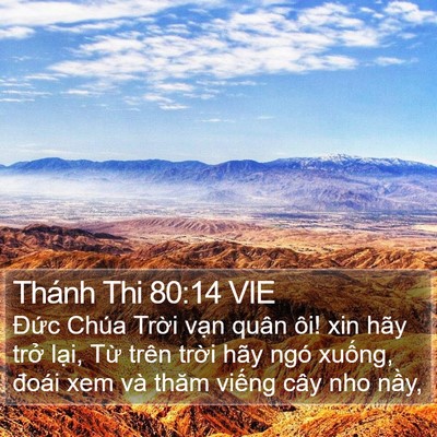 Thánh Thi 80:14 VIE Bible Verse Image