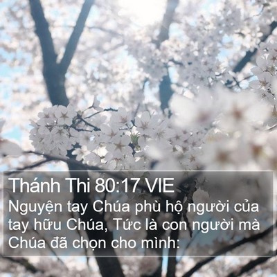 Thánh Thi 80:17 VIE Bible Verse Image