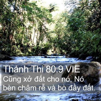 Thánh Thi 80:9 VIE Bible Verse Image