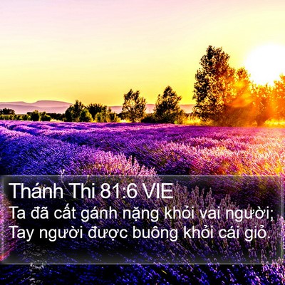 Thánh Thi 81:6 VIE Bible Verse Image
