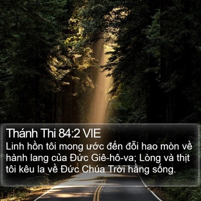 Thánh Thi 84:2 VIE Bible Verse Image