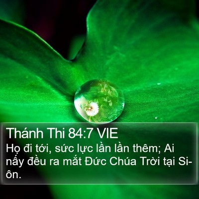 Thánh Thi 84:7 VIE Bible Verse Image
