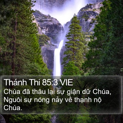 Thánh Thi 85:3 VIE Bible Verse Image