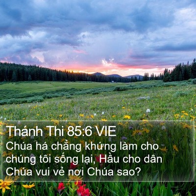 Thánh Thi 85:6 VIE Bible Verse Image