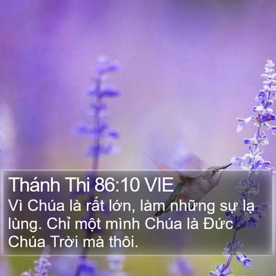 Thánh Thi 86:10 VIE Bible Verse Image